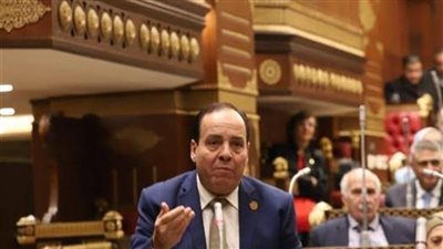 مساعد رئيس حماة الوطن يشيد بالدور المصري في إنجاز المرحلة الثانية من اتفاق غزة