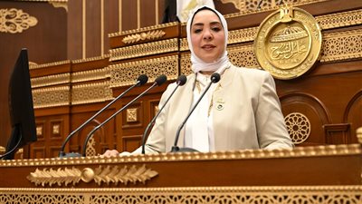 «المدارس في خدمة المواطن».. النائبة وفاء رشاد تقترح تقديم خدمات الشهر العقاري خلال الفترة المسائية