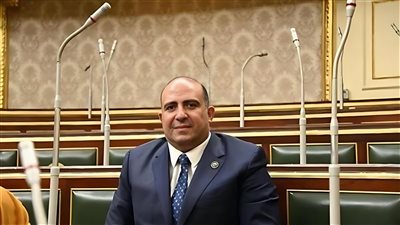 النائب محمد سليم: توطين صناعة التقاوي مفتاح الأمن الغذائي وتوفير العملة الأجنبية