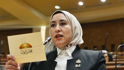 بعد رصد عدة مخالفات.. النائبة صافيناز طلعت: هل خضعت بنوك الدم المخالفة لتفتيش دوري قبل اكتشاف التجاوزات؟