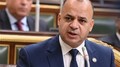 النائب محمد فايز بركات: الثقة في القيادة السياسية والقوات المسلحة صمام الأمان لاستقرار مصر