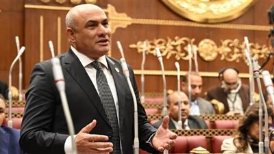 النائب شعبان رأفت: رحلات العلمين ـ موسكو تفتح أسواقًا جديدة أمام السياحة المصرية