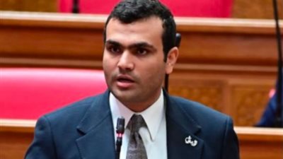 النائب حسين هريدي يحذر: خفض مساحات السكر قد يحول فائض اليوم إلى عجز وارتفاع الأسعار غدًا