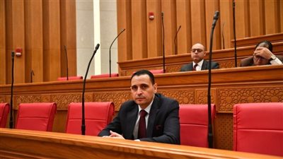 بعد تداول شكاوى على السوشيال ميديا.. النائب إسلام التلواني يطالب الخارجية بكشف موقف المصريين في الإمارات
