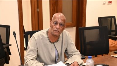 النائب مدحت ركابي: فصل الموظف بسبب تحليل المخدرات ظلم.. وأطالب بمنح المفصولين فرصة ثانية| خاص