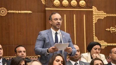 النائب أحمد الحمامصي: توجيهات الرئيس السيسي بسرعة تنفيذ أحكام النفقات تعزز العدالة الناجزة