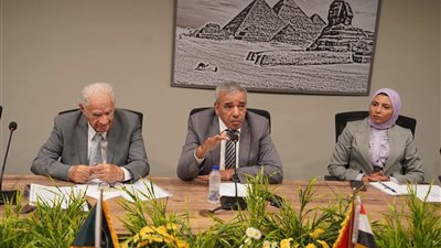 مدير مركز مسارات للدراسات الاستراتيجية: تعزيز التعاون مع دول حوض النيل يتطلب تفعيل دور الأحزاب ومراكز الفكر واستراتيجية إعلامية متكاملة