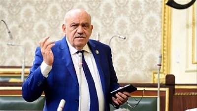 بدلًا من تركها مهملة.. النائب سيد حنفي طه يطالب بتحويل أراضي الدولة إلى مشروعات تخدم المواطنين