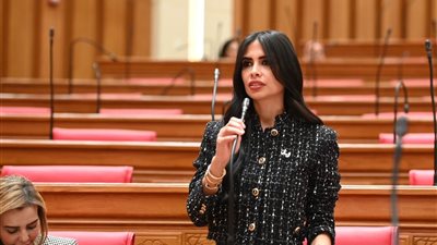 «من يحاسب الأحياء؟».. النائبة هايدي المغازي تسأل الحكومة عن قطع الأشجار دون إجراءات