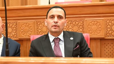 بعدما سجلت تحويلاتهم رقمًا قياسيًا تاريخيًا.. إسلام التلواني يحيي المصريين بالخارج: 47.3 مليار دولار شهادة وطنية