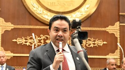 الشرقاوي: شفافية الدولة في إعلان نتائج التحقيقات تؤكد قوة مؤسساتها وتعزز ثقة المواطنين