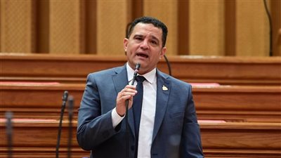 أمير الجزار يتقدم بسؤال برلماني بشأن عدم زيادة بدل التدريب والتكنولوجيا للصحفيين