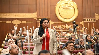 النائبة شيرين صبري: مخطط تهجير الفلسطينيين يستهدف تصفية القضية.. ومصر لن تقبل المساس بثوابتها