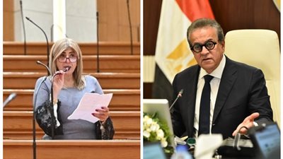 النائبة أميرة فؤاد: نحتاج لتسهيل تراخيص مصحات علاج الإدمان مع تشديد الرقابة.. وغلق المخالف لا يعني ترك المرضى بلا بديل