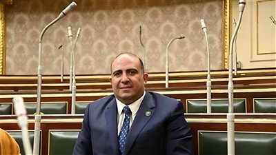 النائب محمد سليم: مضاعفة الصادرات المصرية إلى أفريقيا والعالم العربي يجب أن تتحول لمشروع قومي