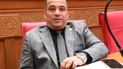 النائب هاني شحاتة: استقرار السوق العقارية يتطلب الحد من تأثير الدخلاء ودعم المطور الجاد