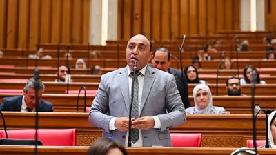 طأين الفحص المالي والقانوني؟