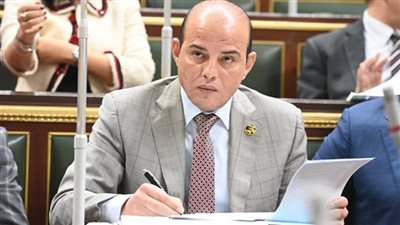 عمرو القطامي: زيارة الرئيس الصيني لمصر تعكس عمق الشراكة وتفتح آفاقا جديدة للتعاون