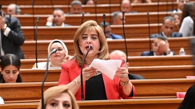 هناء أنيس: مصر والصين أمام مرحلة جديدة لتعزيز التعاون الاقتصادي والسياسي