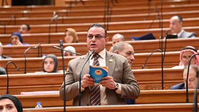 النائب مختار همام: إعلان الحكومة بشأن الأصول السيادية رسالة طمأنة للمواطنين