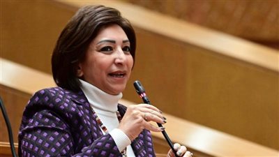 النائبة مها عبد الناصر: الحكومة تواجه ارتفاع الحرارة بقطع مصدر الظل