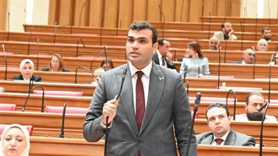 النائب حسين هريدي: أين الحقيقة في أرقام إنتاج البترول؟.. نريد رقمًا رسميًا يصدقه البرلمان والرأي العام