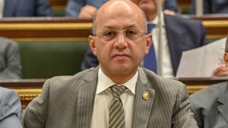 النائب هشام حسين