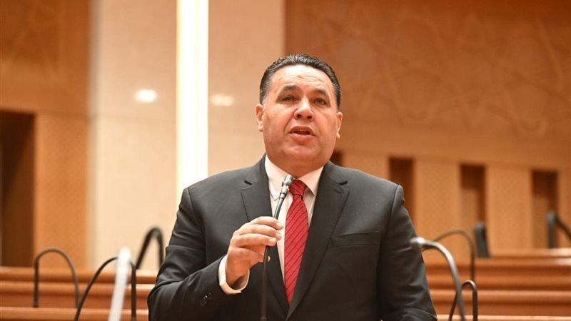 النائب عماد الغنيمي