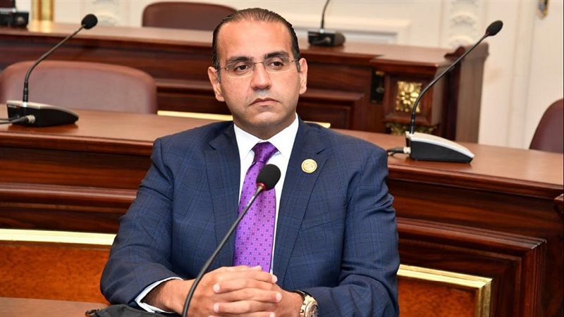 النائب محمد المنزلاوي، عضو مجلس الشيوخ