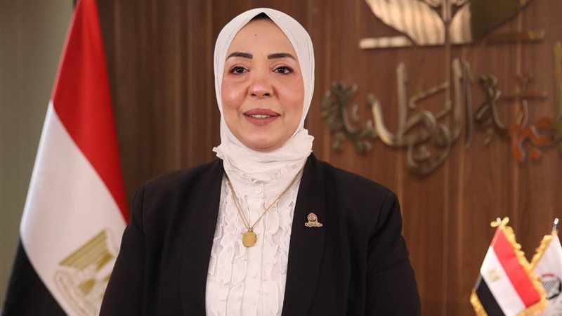 النائبة وفاء رشاد