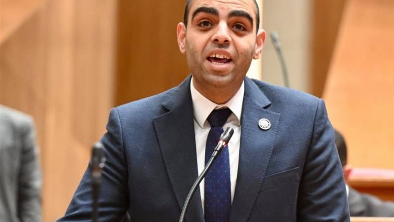 النائب حسن عمر حسنين