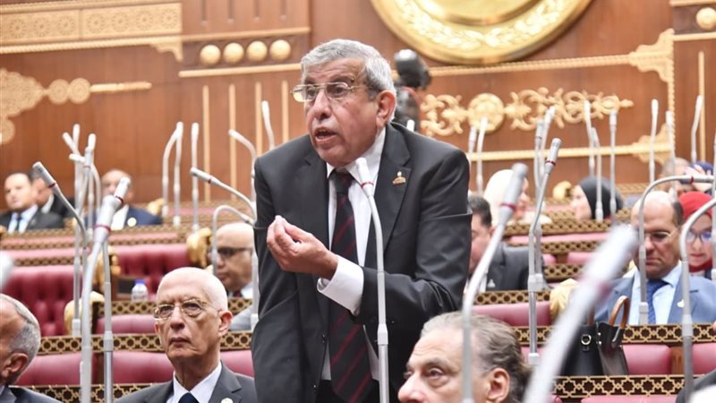 النائب علاء عبدالنبي