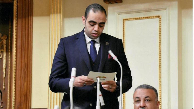 النائب حسن عمر حسنين