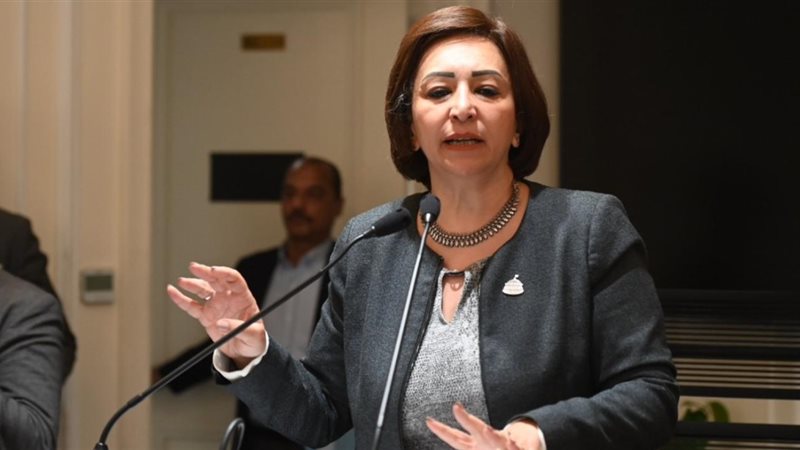 النائبة مها عبد الناصر