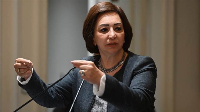 النائبة مها عبد الناصر