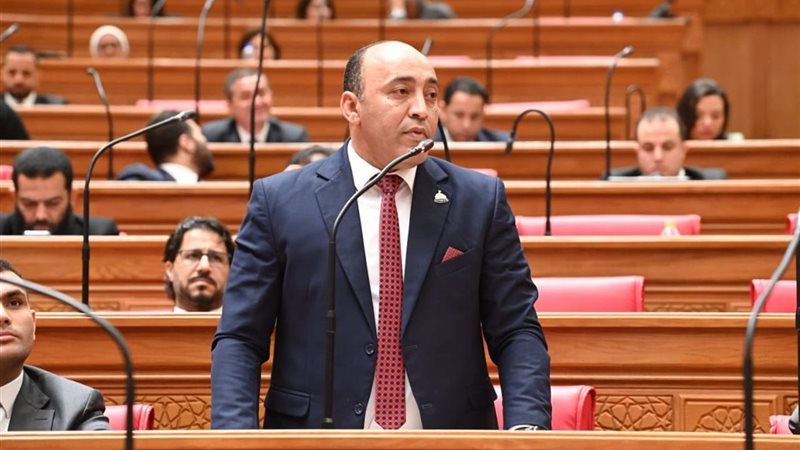 النائب حسام الخشت