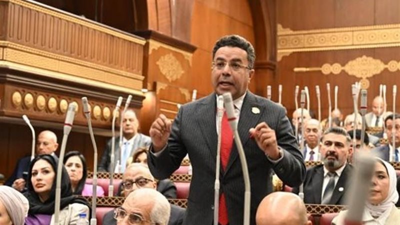 باسل عادل، رئيس حزب الوعي وعضو مجلس الشيوخ