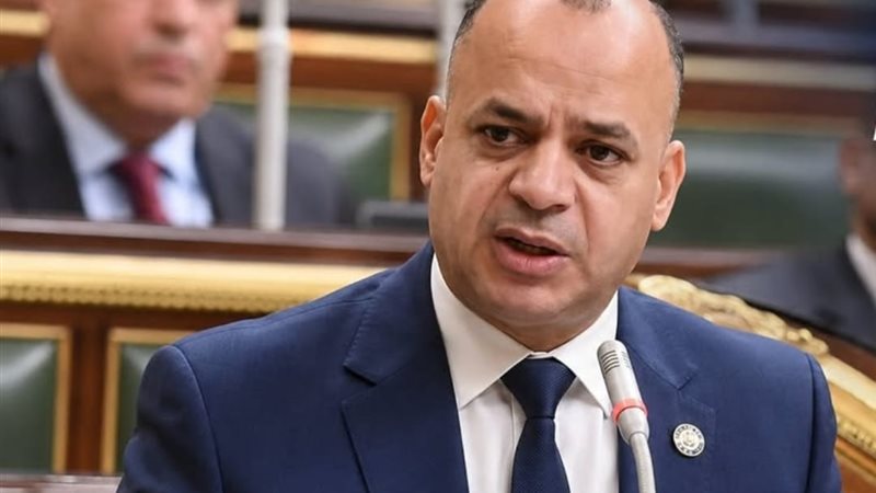 النائب الدكتور محمد فايز بركات