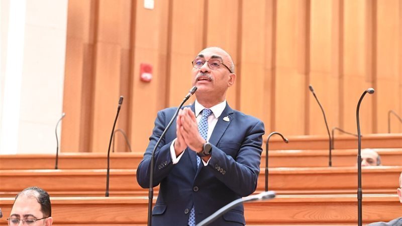 النائب ايهاب منصور