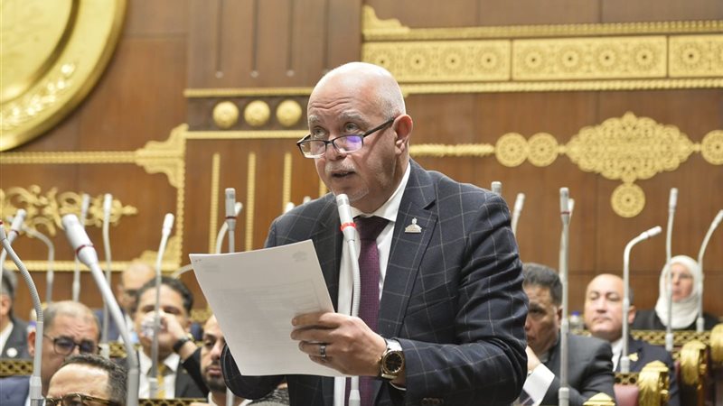 النائب المهندس حازم
