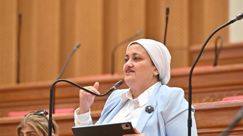 النائبة سناء السعيد