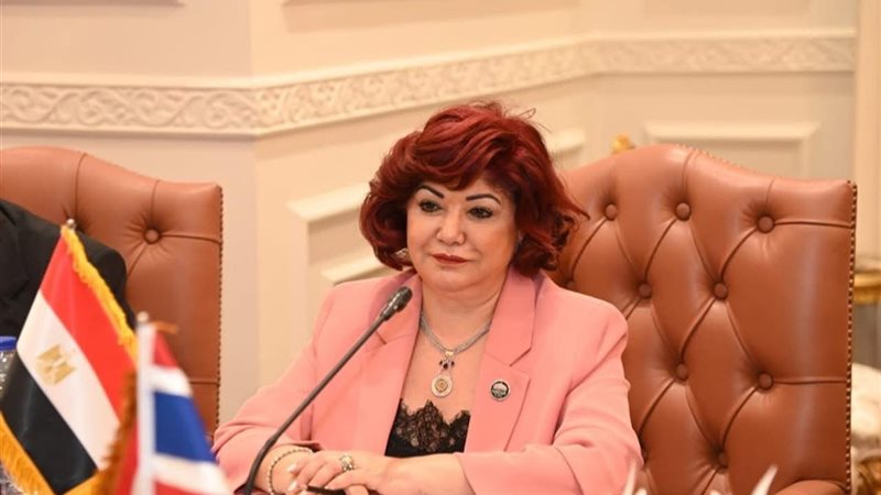 النائبة نورا علي