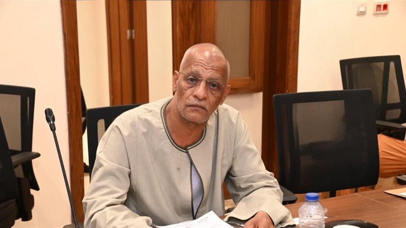 النائب مدحت ركابي