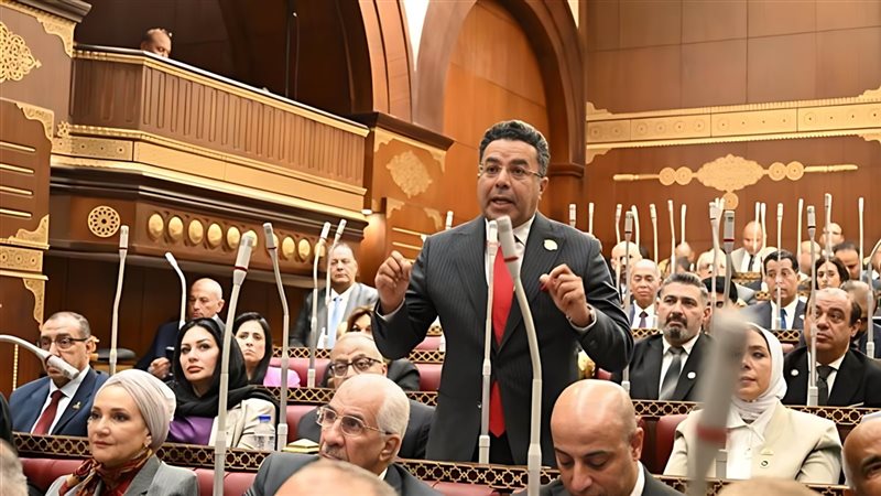  باسل عادل، رئيس حزب الوعي وعضو مجلس الشيوخ