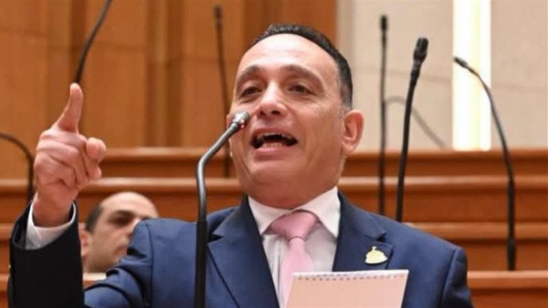 النائب فريدي البياضي
