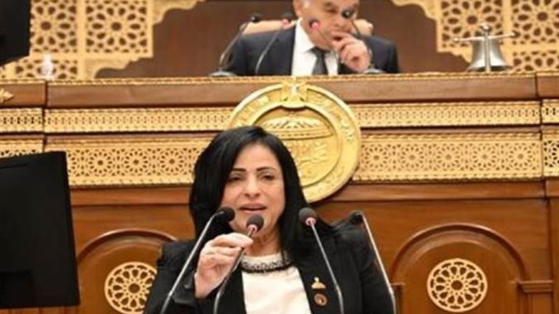 النائبة ميرال الهريدي