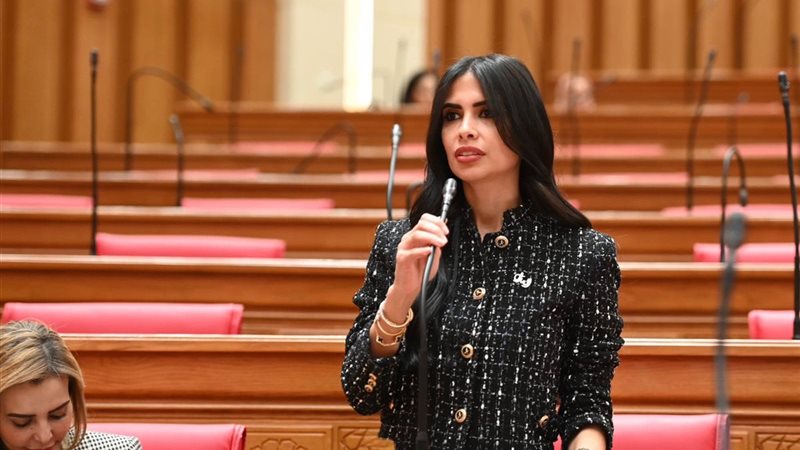 النائبة هايدي المغازي