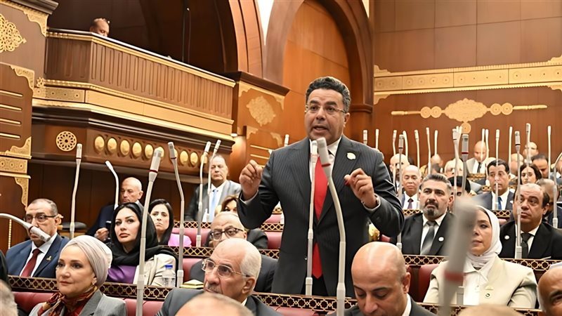 النائب باسل عادل