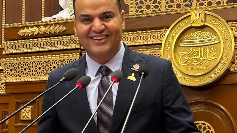 النائب الحسيني الليثي 