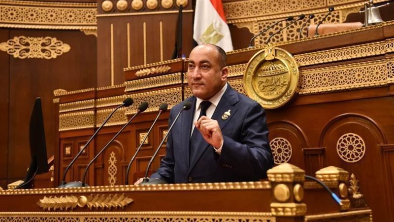 النائب عمرو رشاد